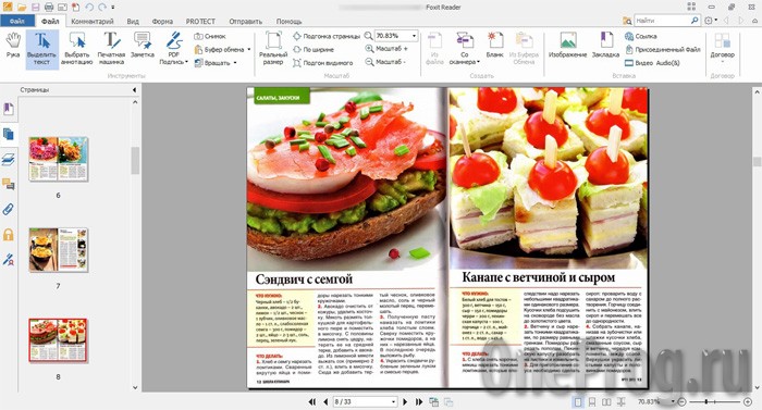 Foxit-Reader_OneProg.ru